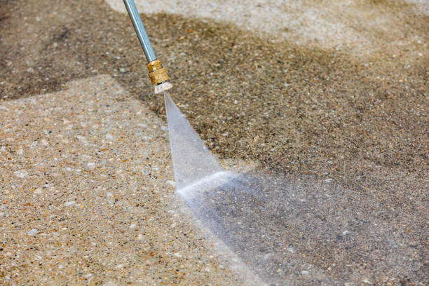 Best Soft Washing for Delicate Surfaces in Terre Haute, IN
