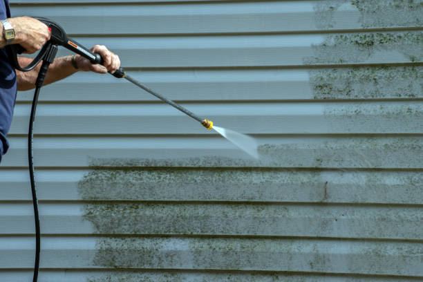 Best Sidewalk and Walkway Pressure Cleaning in Terre Haute, IN